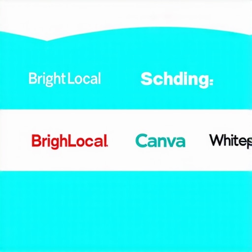 Top Tools for GMB Maintenance and Scaling Infographic detailing essential tools for managing and scaling Google My Business engagement effectively.